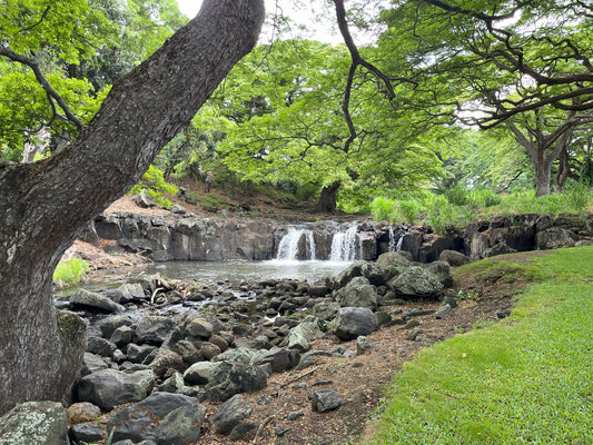 O'ahu Botanical Gardens